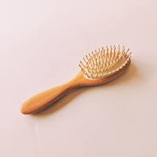 Brosse adulte / ado
