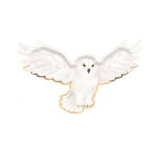 Lot de 8 assiettes Hedwige Harry Potter